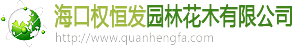 四周建材